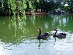 android_upload_pic-东莞市可园博物馆