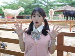 -盈香心动乐园
