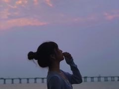 -宝安西湾红树林湿地公园