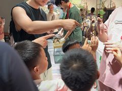 -上海大自然野生昆虫馆(东方明珠·爬宠昆虫探索中心)