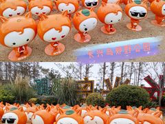 -上海长兴岛郊野公园