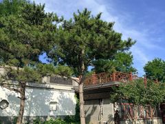 -绿堤公园