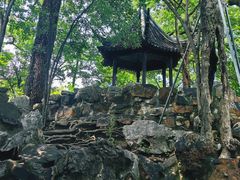 -西园戒幢律寺