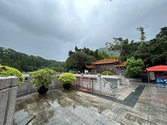 -深圳仙湖植物园