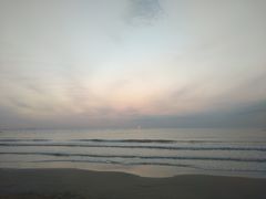 -日照海滨国家森林公园