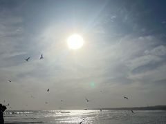 -老虎石海上公园