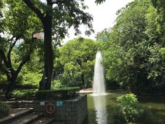 -九龙公园