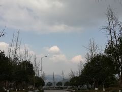 -铁山坪森林公园