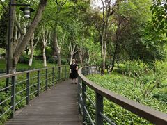 -古琴台