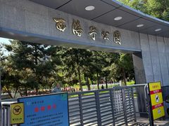-西海子公园
