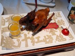 -大鸽饭(动物园店)