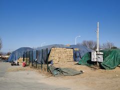 -北京群众马术培训基地