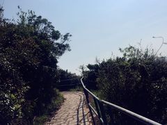 -南丫岛