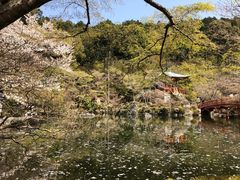 -醍醐寺