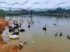 -鄱阳湖国家湿地公园