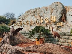 -北京西山国家森林公园