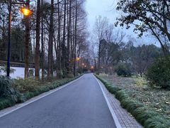 -杭州植物园
