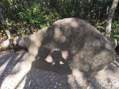 -上海佘山国家森林公园天马山园