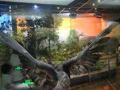 -陕西自然博物馆