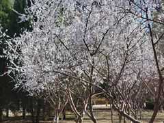 -东升八家郊野公园
