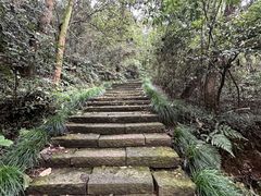 -杭州半山国家森林公园