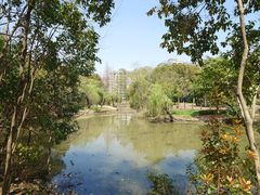 -上海中医药大学附属曙光医院(东部)