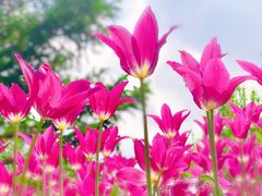 -长春公园(普阳街道)