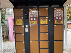 -大兴滨河森林公园
