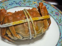 -新光酒家·河豚·海鲜·蟹料理(浦东店)