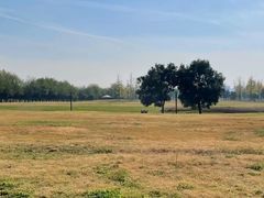 -汉长安城未央宫国家考古遗址公园