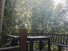 -丽泽山庄·生态怀柔菜·虹鳟鱼(红螺寺店)