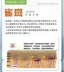 -玛莲朵·海菲秀冰珀科