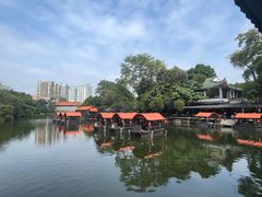 -侨美·唐荔园·40年地道粤菜