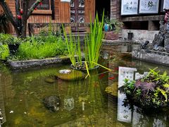 -观清澜疗愈民宿(龙泉山风景区店)