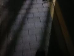 -老山村酒楼(白石洲店)