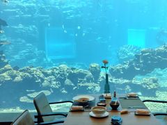 -海棠湾洲际-涛·海底餐厅·美人鱼·自助餐·海底隧道