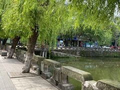 -白鹭湾湿地公园