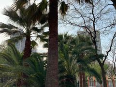 -苏州河梦清园环保主题公园