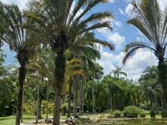 -中国科学院西双版纳热带植物园
