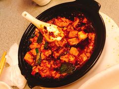 -陈麻婆豆腐总店