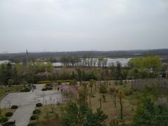 -合肥三国新城遗址公园