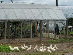 -美家乐农庄·露营·团建(大治路店)