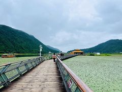 -腾冲北海湿地