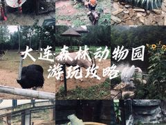 -大连森林动物园