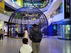 -苏州青少年科技馆