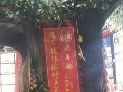 大堂-邵年鸽(杨庄店)