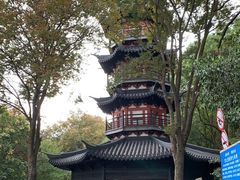 -上海佘山国家森林公园西佘山园