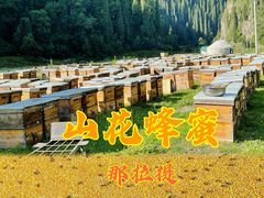 -新疆那拉提国家旅游度假区