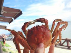 -梁子岛生态旅游区