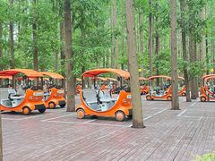 -黄海国家森林公园